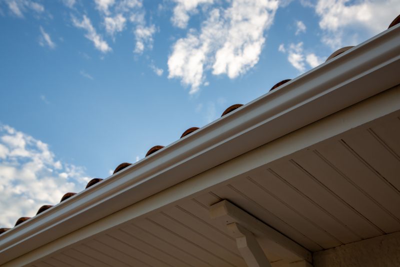 Gutter and Roof Interface Repairs