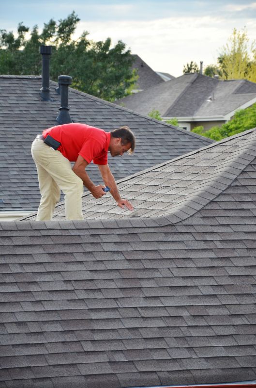 Roof Repair Expertise