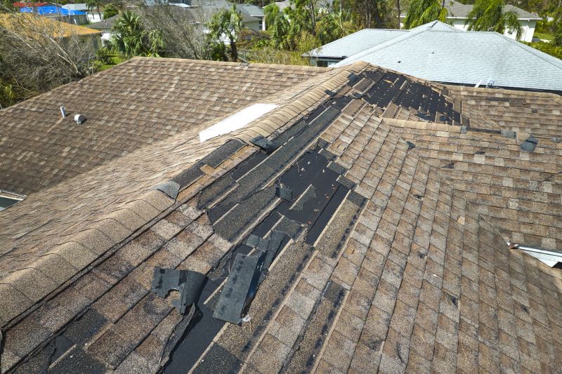Roof Repair Services