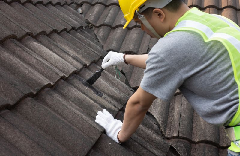 Professional Roofing Work